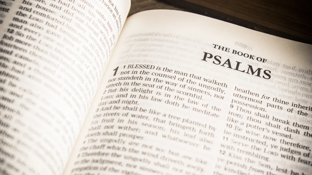 The Book of Psalms Explained