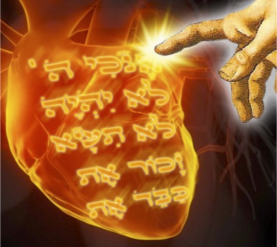 What Does It Mean to Have the Law Written in the Heart