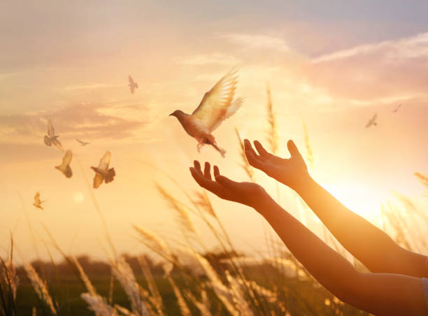 What Does "Be Still and Know" Means Psalm 46:10