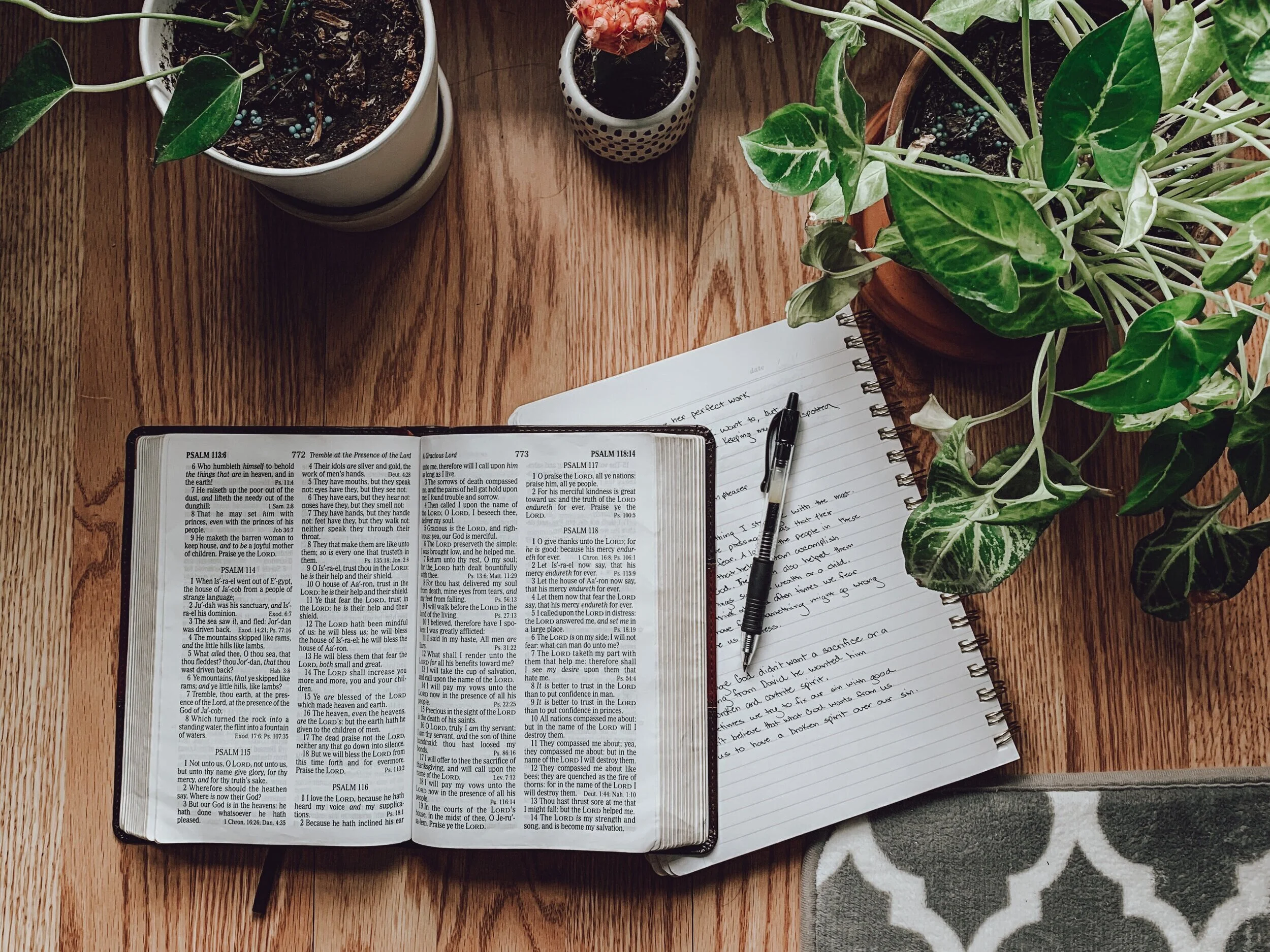 Verse-by-Verse Study of Psalm 1