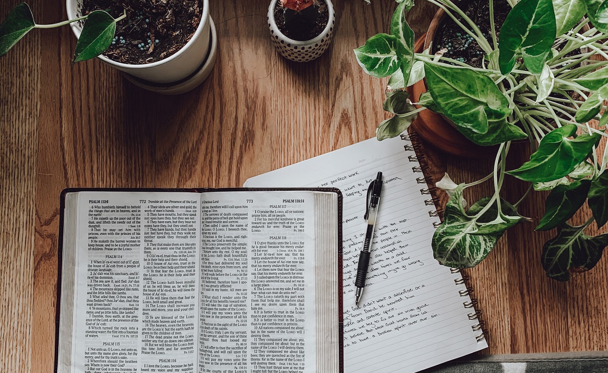 How to Start Reading the Bible (Even if You're New)