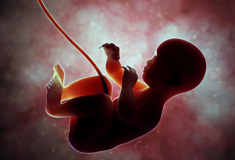 Life Begins at Conception: Biblical take on Pro-Life)